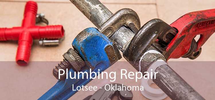 Plumbing Repair Lotsee - Oklahoma