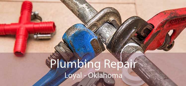 Plumbing Repair Loyal - Oklahoma