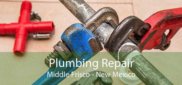 Plumbing Repair Middle Frisco - New Mexico