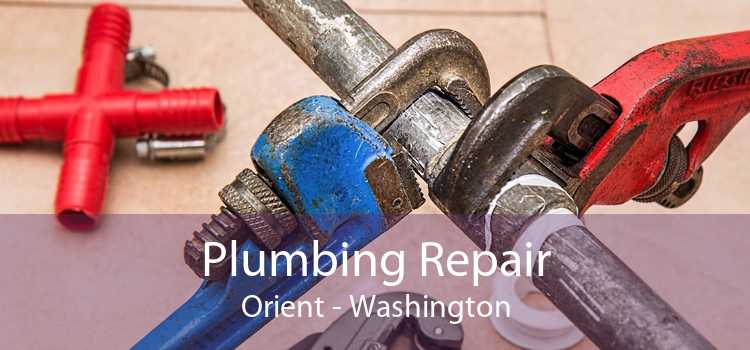 Plumbing Repair Orient - Washington