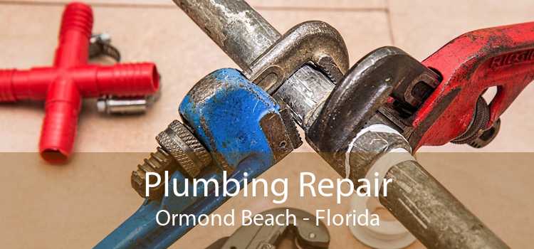 Plumbing Repair Ormond Beach - Florida