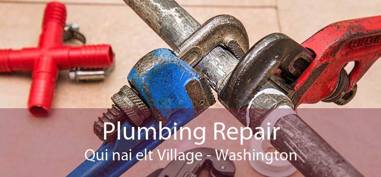 Plumbing Repair Qui nai elt Village - Washington