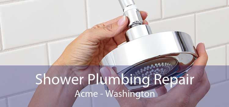 Shower Plumbing Repair Acme - Washington