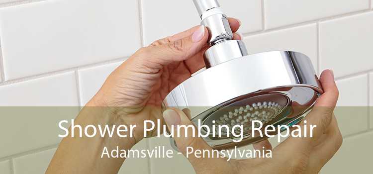 Shower Plumbing Repair Adamsville - Pennsylvania