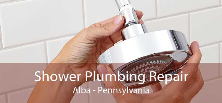 Shower Plumbing Repair Alba - Pennsylvania