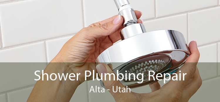 Shower Plumbing Repair Alta - Utah