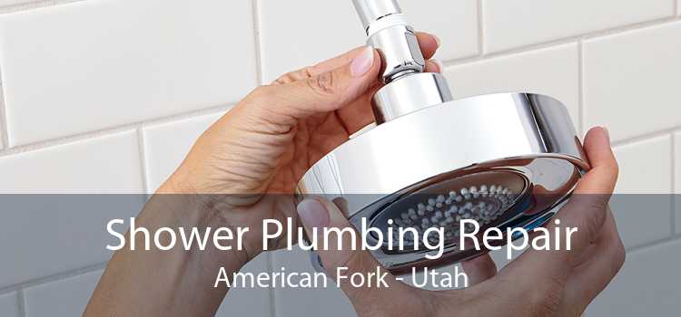 Shower Plumbing Repair American Fork - Utah