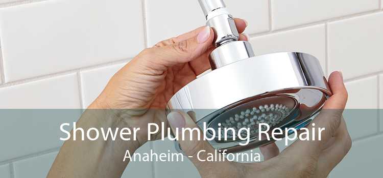 Shower Plumbing Repair Anaheim - California