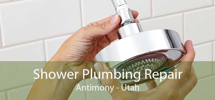 Shower Plumbing Repair Antimony - Utah