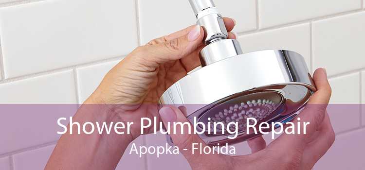 Shower Plumbing Repair Apopka - Florida
