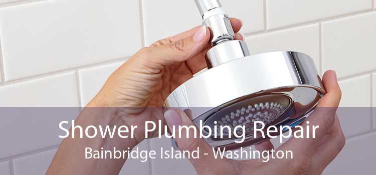 Shower Plumbing Repair Bainbridge Island - Washington
