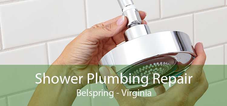Shower Plumbing Repair Belspring - Virginia