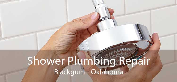 Shower Plumbing Repair Blackgum - Oklahoma