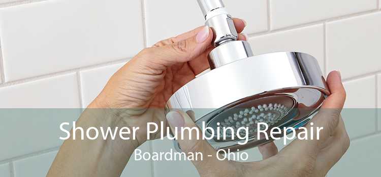 Shower Plumbing Repair Boardman - Ohio