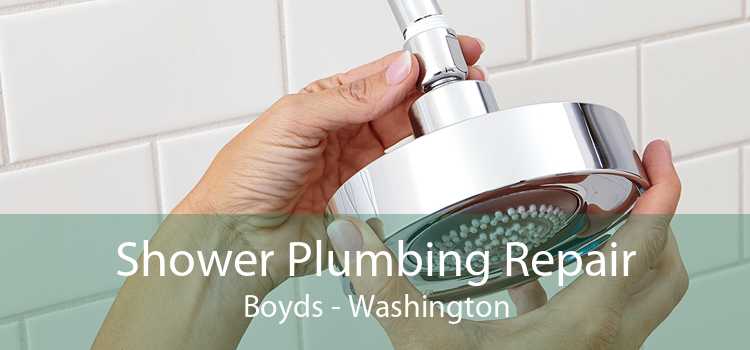 Shower Plumbing Repair Boyds - Washington