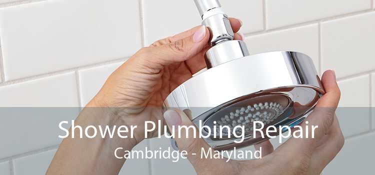 Shower Plumbing Repair Cambridge - Maryland