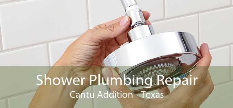 Shower Plumbing Repair Cantu Addition - Texas