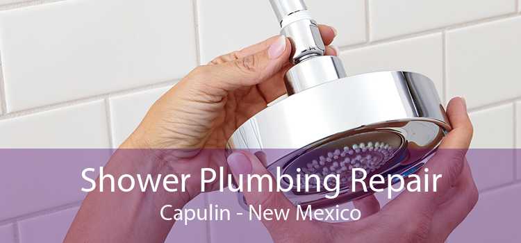 Shower Plumbing Repair Capulin - New Mexico