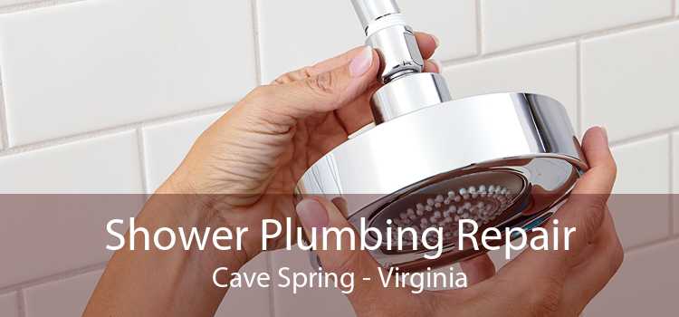Shower Plumbing Repair Cave Spring - Virginia
