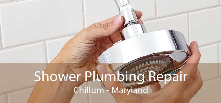 Shower Plumbing Repair Chillum - Maryland