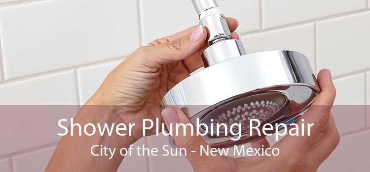 Shower Plumbing Repair City of the Sun - New Mexico