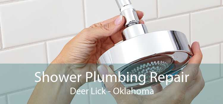 Shower Plumbing Repair Deer Lick - Oklahoma