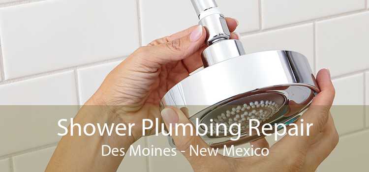 Shower Plumbing Repair Des Moines - New Mexico