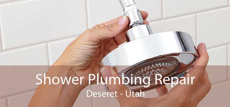 Shower Plumbing Repair Deseret - Utah