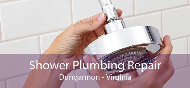 Shower Plumbing Repair Dungannon - Virginia