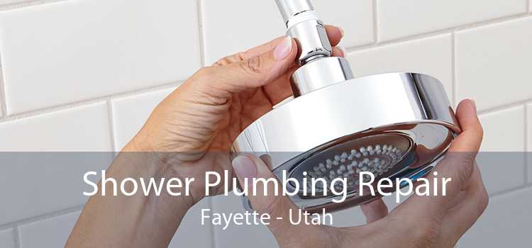 Shower Plumbing Repair Fayette - Utah