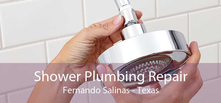 Shower Plumbing Repair Fernando Salinas - Texas