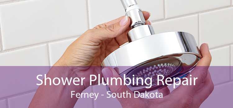 Shower Plumbing Repair Ferney - South Dakota