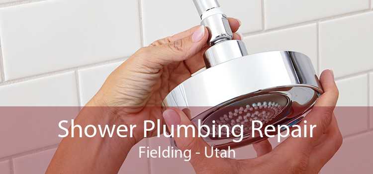 Shower Plumbing Repair Fielding - Utah