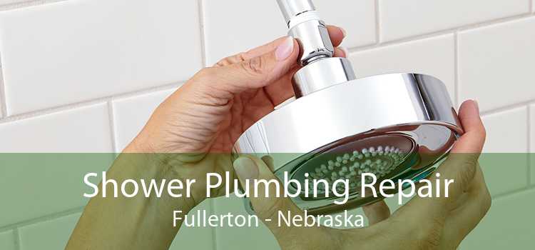 Shower Plumbing Repair Fullerton - Nebraska