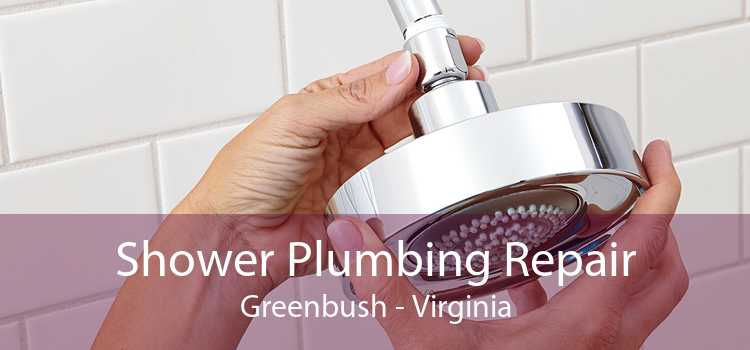 Shower Plumbing Repair Greenbush - Virginia