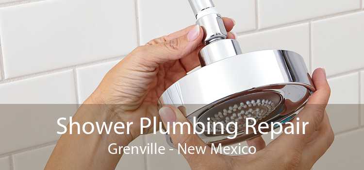 Shower Plumbing Repair Grenville - New Mexico