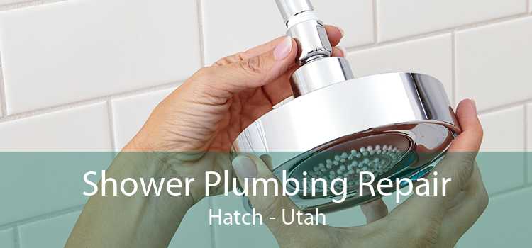 Shower Plumbing Repair Hatch - Utah