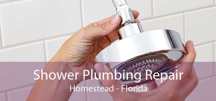 Shower Plumbing Repair Homestead - Florida