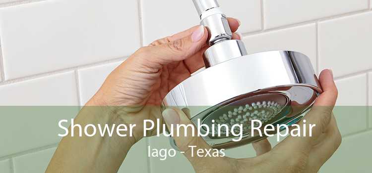 Shower Plumbing Repair Iago - Texas