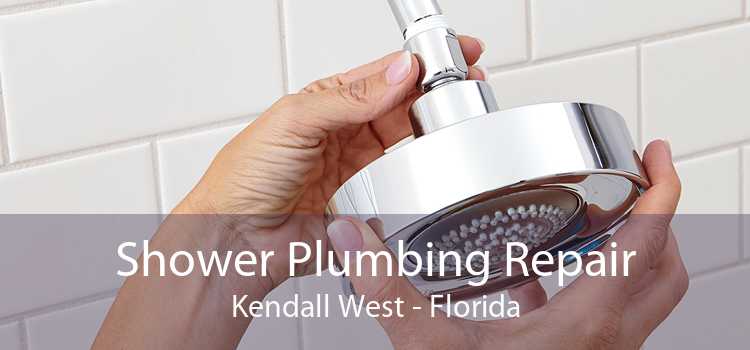 Shower Plumbing Repair Kendall West - Florida
