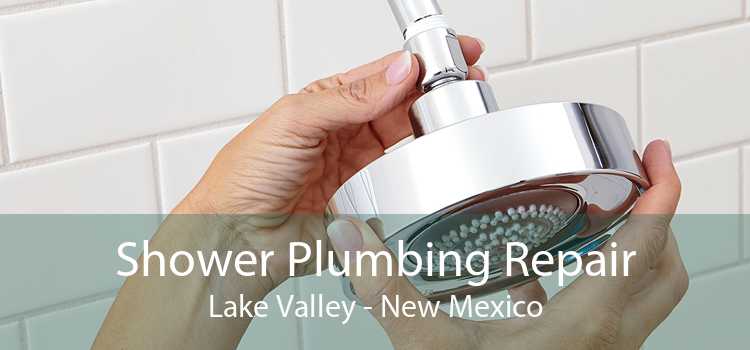 Shower Plumbing Repair Lake Valley - New Mexico