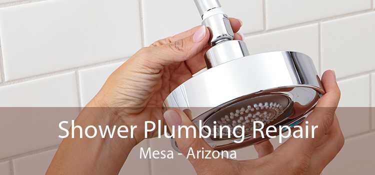 Shower Plumbing Repair Mesa - Arizona