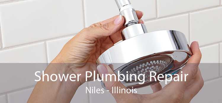 Shower Plumbing Repair Niles - Illinois