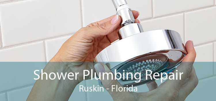 Shower Plumbing Repair Ruskin - Florida