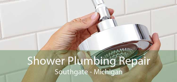 Shower Plumbing Repair Southgate - Michigan