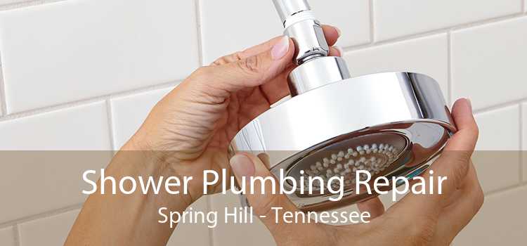 Shower Plumbing Repair Spring Hill - Tennessee