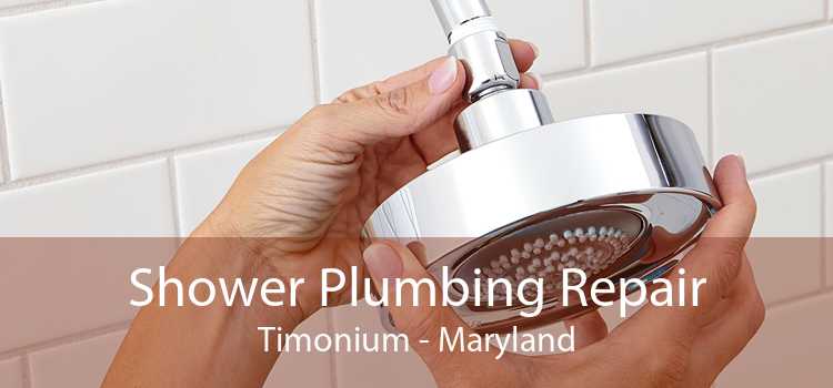 Shower Plumbing Repair Timonium - Maryland