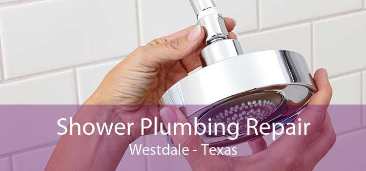 Shower Plumbing Repair Westdale - Texas