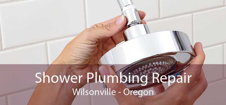 Shower Plumbing Repair Wilsonville - Oregon