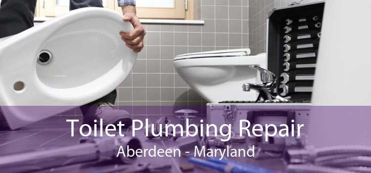 Toilet Plumbing Repair Aberdeen - Maryland